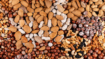 nuts or dryfruits