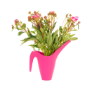 pink flower vase